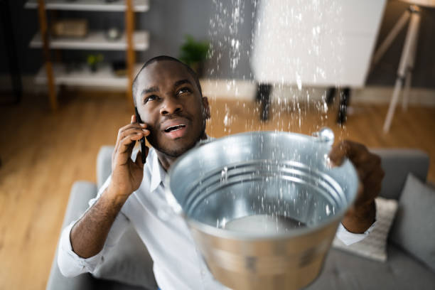 Best 24/7 water damage repair  in St David, AZ