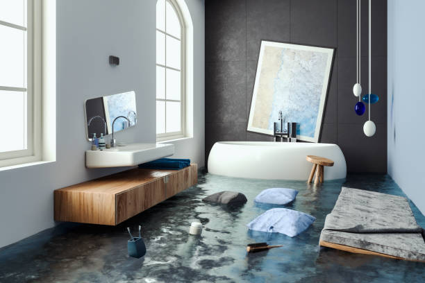 Best Professional water damage repair  in St David, AZ