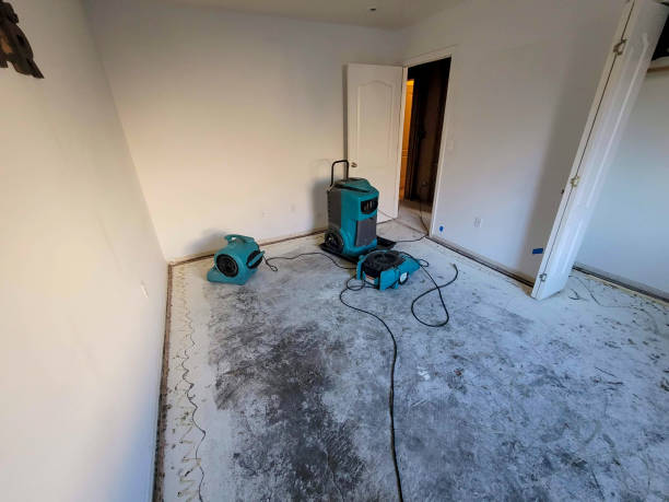 Best Flooded house restoration  in St David, AZ