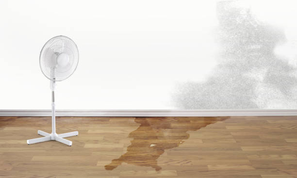 24/7 water damage repair in AZ