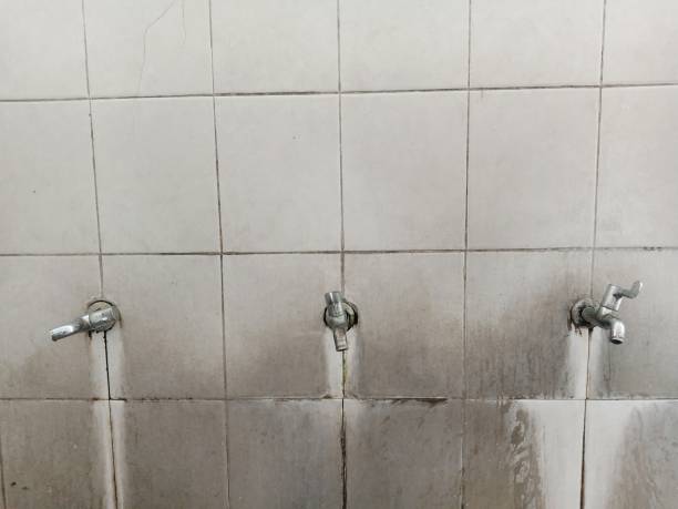 Best Sewage cleanup and water damage restoration  in St David, AZ