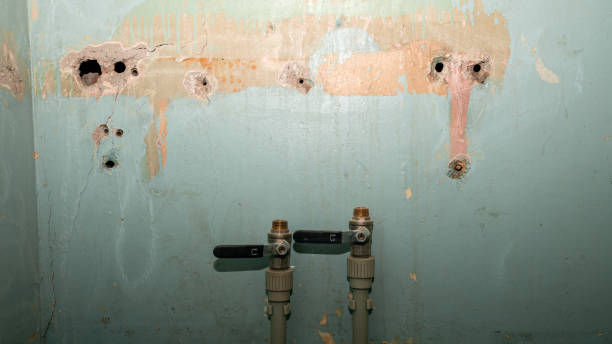 Best Commercial water damage restoration  in St David, AZ