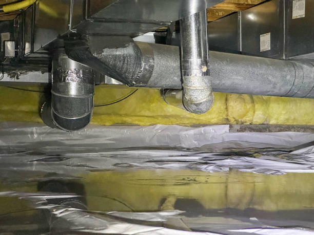 Best 24-hour water damage restoration  in St David, AZ