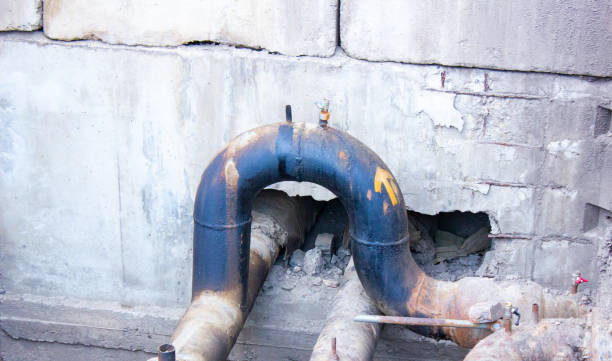 Best Water damage restoration near me  in St David, AZ