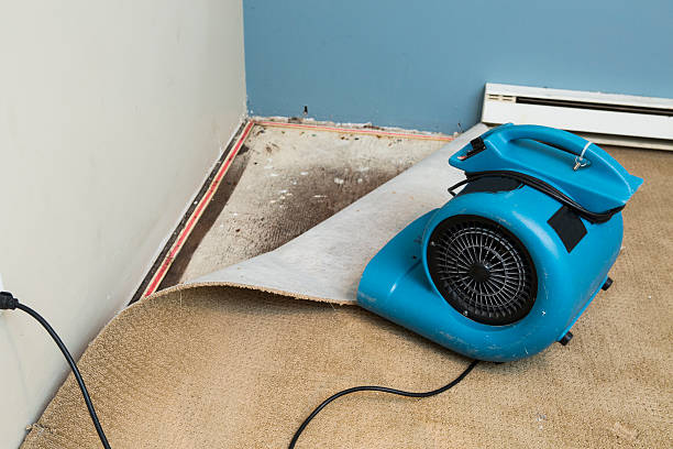 Best Water damage restoration services  in St David, AZ