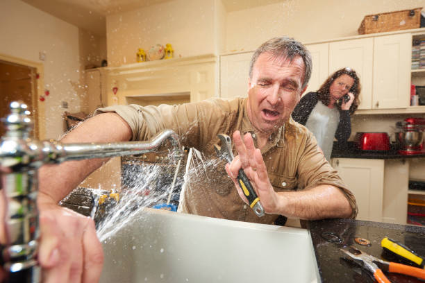 Best Mold removal after water damage  in St David, AZ